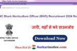 BPSC BHO 2024 Result