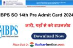 IBPS SO 14th Pre Admit Card 2024