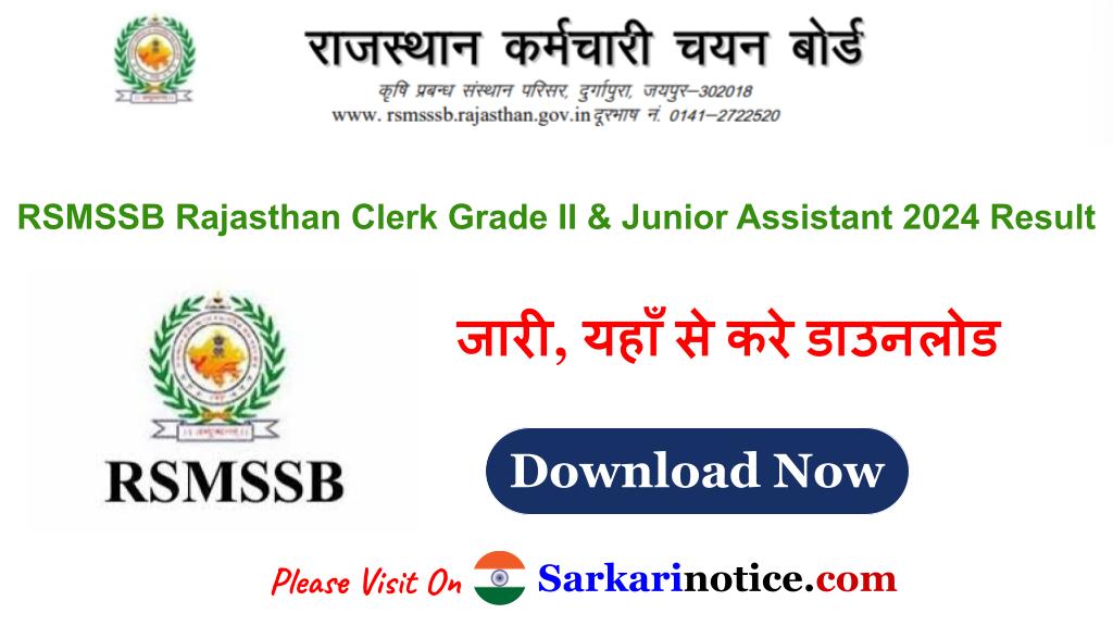 RSMSSB Rajasthan LDC 2024 Result